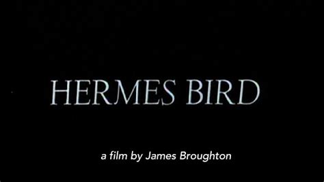 hermes bird 1979 full movie|Hermes Bird (1979) Stream and Watch Online .